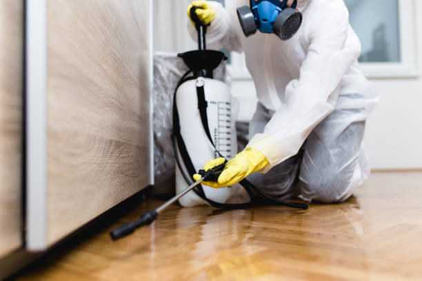 Best Termite Control Services  in Estill, SC