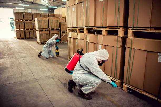 Best Pest Inspection Near Me  in Estill, SC