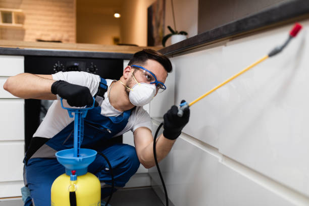 Best Wasp Removal Services  in Estill, SC