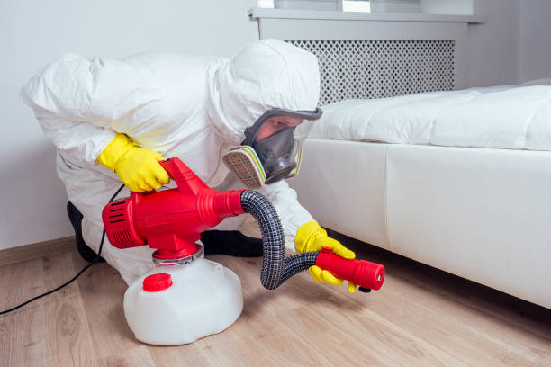 Best Pest Control Near Me  in Estill, SC