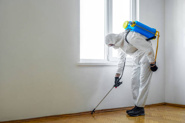 Best Local Pest Control Services  in Estill, SC