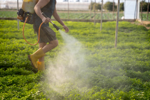 Best Pest Prevention Services  in Estill, SC