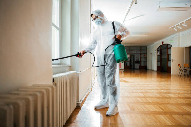 Reliable Estill, SC Pest Control Solutions