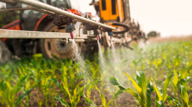 Professional Pest Control in Estill, SC