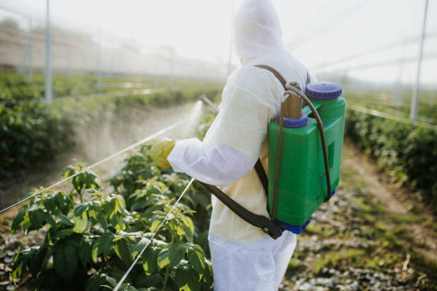 Best Commercial Pest Control Services  in Estill, SC